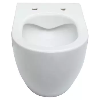 Подвесной унитаз Allen Brau Reality 4.32006.20