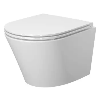 Подвесной унитаз Ambassador Ritz 233K19004RS с сиденьем микролифт