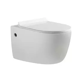 Подвесной унитаз Aquanet Cetus-W Rimless с сиденьем