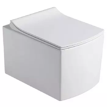 Подвесной унитаз Black&White Universe 719W00