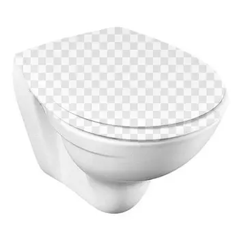 Подвесной унитаз Jacob Delafon Patio E1534-00