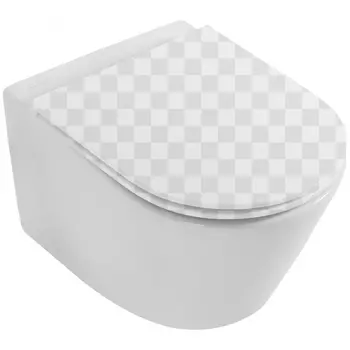 Подвесной унитаз Jacob Delafon Rodin+ EDY102-00