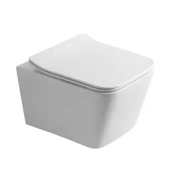 Подвесной унитаз Olive's Porto PR30116DP с микролифтом