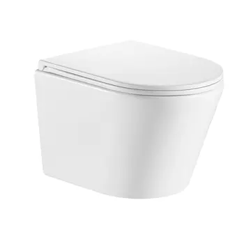 Подвесной унитаз Olive's Torres TR30116DP с микролифтом