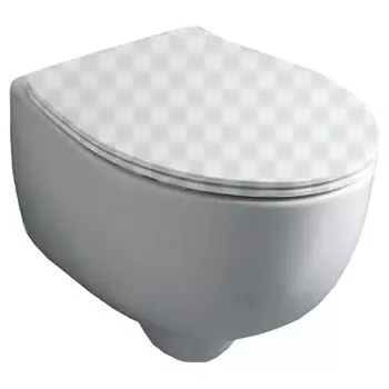 Подвесной унитаз Simas Bormio BR18bi