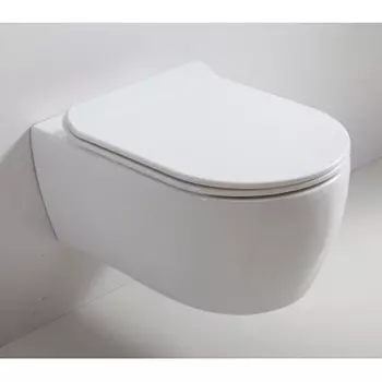 Подвесной унитаз SSWW NС2039