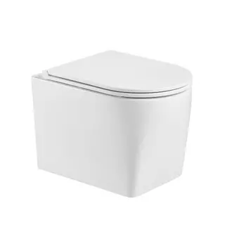 Подвесной унитаз WeltWasser Nesenbach 004 GL-WT