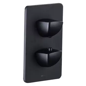 Смеситель для душа Allen Brau Infinity 5.21216-31 черный матовый