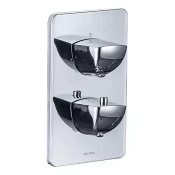 Смеситель для душа Allen Brau Infinity 5.21316-00