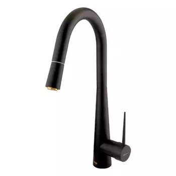 Смеситель для кухни Shouder Iten 0300617