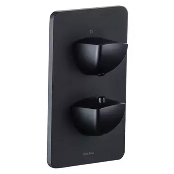 Смеситель для ванны Allen Brau Infinity 5.21116-31 черный матовый