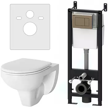 Унитаз с инсталляцией Damixa DX77.IS10151.1738