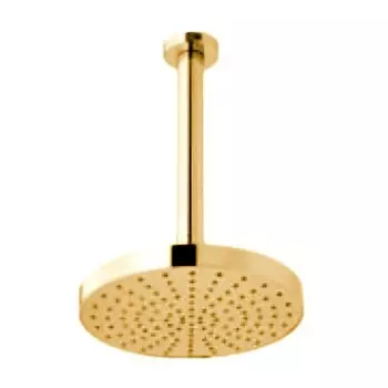 Верхний душ Webert Comfort AC0940010METAL