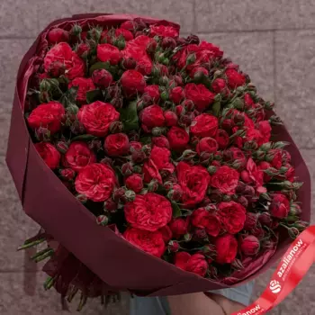 Букет из 101 красной кустовой пионовидной розы