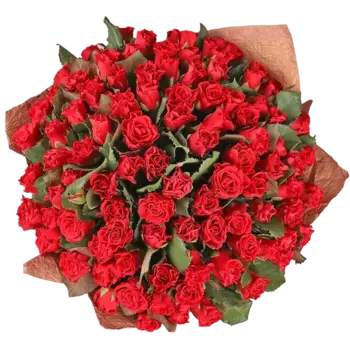 Букет из 101 красной розы, 50 см, Голландия