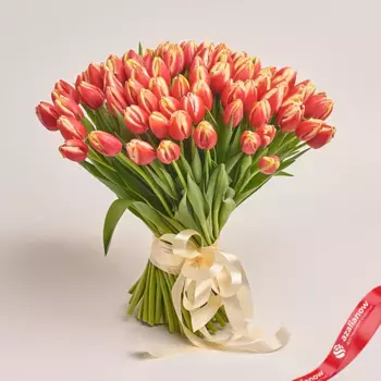Букет из 101 красно-желтого тюльпана, Россия
