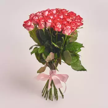 Букет 25 красно розовых роз 50 см, Россия