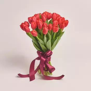 Букет из 35 красных тюльпанов с лентой, Россия