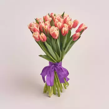 Букет из 35 розово-белых тюльпанов, Россия