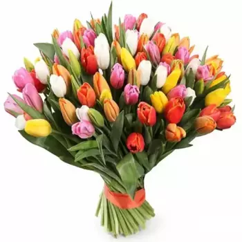 Букет из 51 радужного тюльпана, Россия