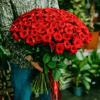 51 роза красного цвета, 70 см, Эквадор
