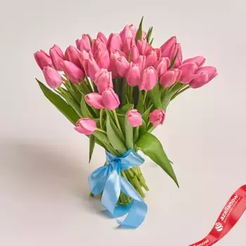 Букет из 51 розового тюльпана без упаковки, Россия