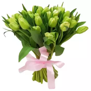 Букет из 51 салатового тюльпана с лентой, Россия