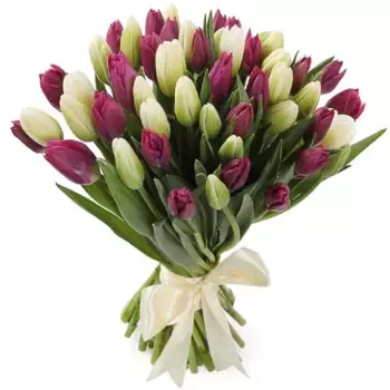 Букет из 51 сиреневого и белого тюльпана, Россия