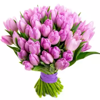Букет из 51 сиреневого тюльпана с лентой, Россия