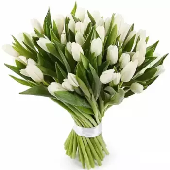 Букет из 51 снежно-белого тюльпана, Россия