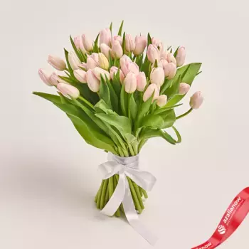 Букет из 51 светло-розового тюльпана, Россия
