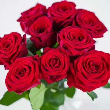 9 красных роз 50 см, Россия