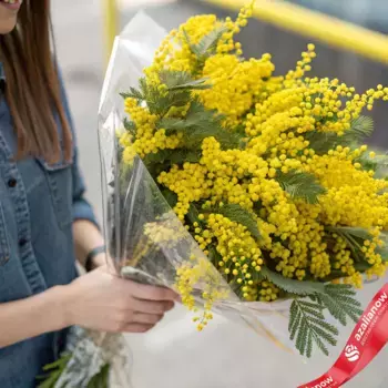 Букет 11 мимоз в пленке