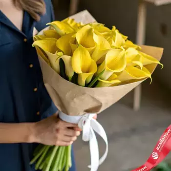 Букет 15 желтых калл в крафте, с белой лентой