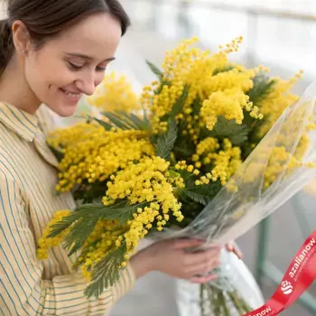 Букет 25 мимоз в пленке