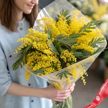 Букет 35 мимоз в пленке