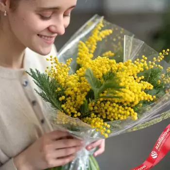 Букет 3 мимозы в пленке