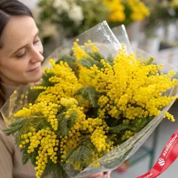 Букет 51 мимоза в пленке