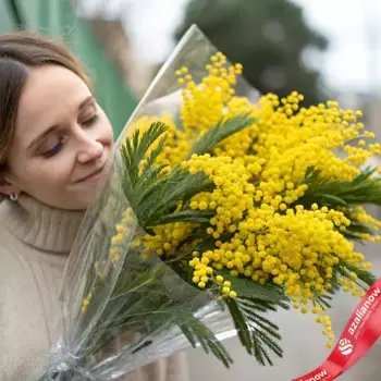 Букет 5 мимоз в пленке