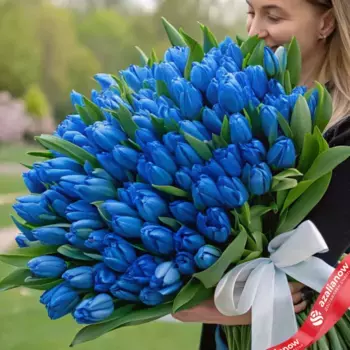 Букет из 101 голубого тюльпана с белой лентой, Россия