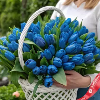 Букет из 101 голубого тюльпана в корзине, Россия