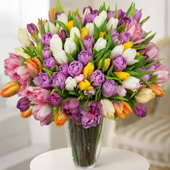 Букет из 101 разноцветного тюльпана