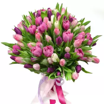Букет из 101 весеннего сиренево-розового тюльпана