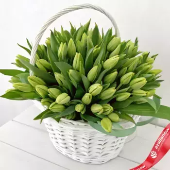 Букет из 101 зеленого тюльпана в корзине, Россия