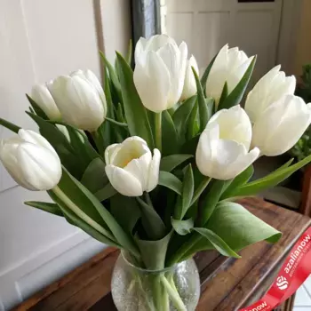 Букет из 10 белых тюльпанов, Россия