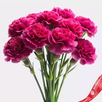 Букет из 10 гвоздик малиновых, Диантус, Голландия