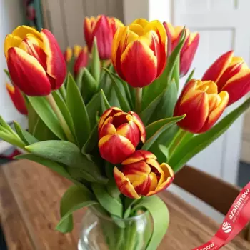Букет из 10 красно-желтых тюльпанов, Россия
