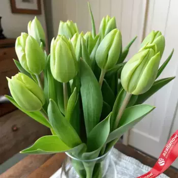 Букет из 10 зеленых тюльпанов, Россия