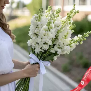 Букет из 11 белых дельфиниумов с белой лентой