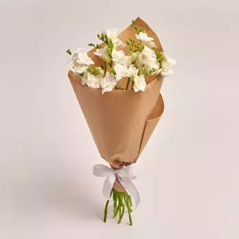 Букет из 11 белых фрезий в крафте